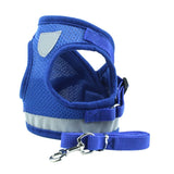 Dog Chest Harness