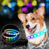 LED Pet Collar