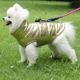 Dog Waterproof Jacket