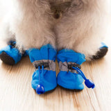 Winter Dog Shoes