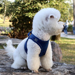 Dog Chest Harness