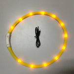 LED Dog Collar