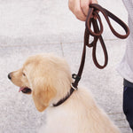 Real Leather Dog slip lead Leash P Chain Collar pet Walking Lead Training Traction Rope For small Medium Large Big Dogs