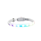 LED Pet Collar