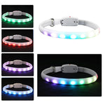 LED Pet Collar