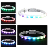 LED Pet Collar