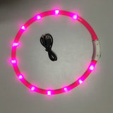 LED Dog Collar