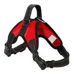 Heavy Duty Harness