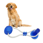 Dog Chew Toys