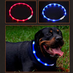 LED Dog Collar