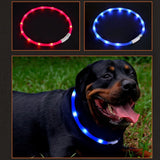 LED Dog Collar