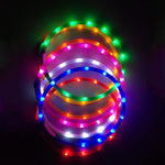 LED Dog Collar