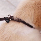 Real Leather Dog slip lead Leash P Chain Collar pet Walking Lead Training Traction Rope For small Medium Large Big Dogs