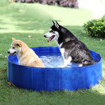 Foldable Dog Pool